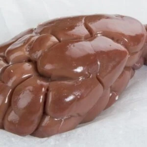 Frozen-Veal-Kidney